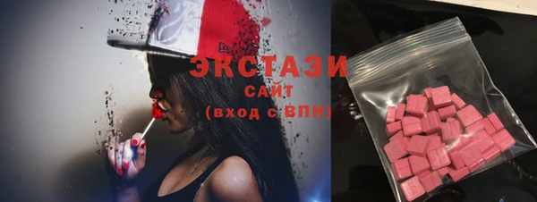 соль ск Новозыбков