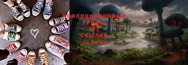 индика Остров