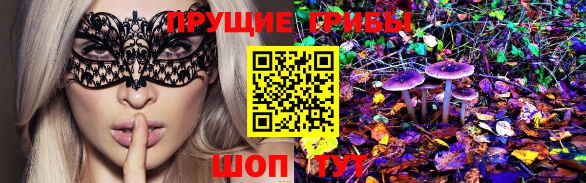 Зерноград  Псилоцибиновые грибы GOLDEN TEACHER  что такое   Вход с VPN 